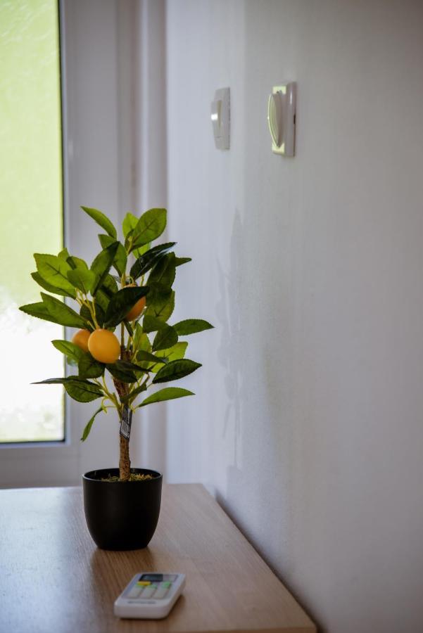 Apartment Nikola Κότορ Εξωτερικό φωτογραφία